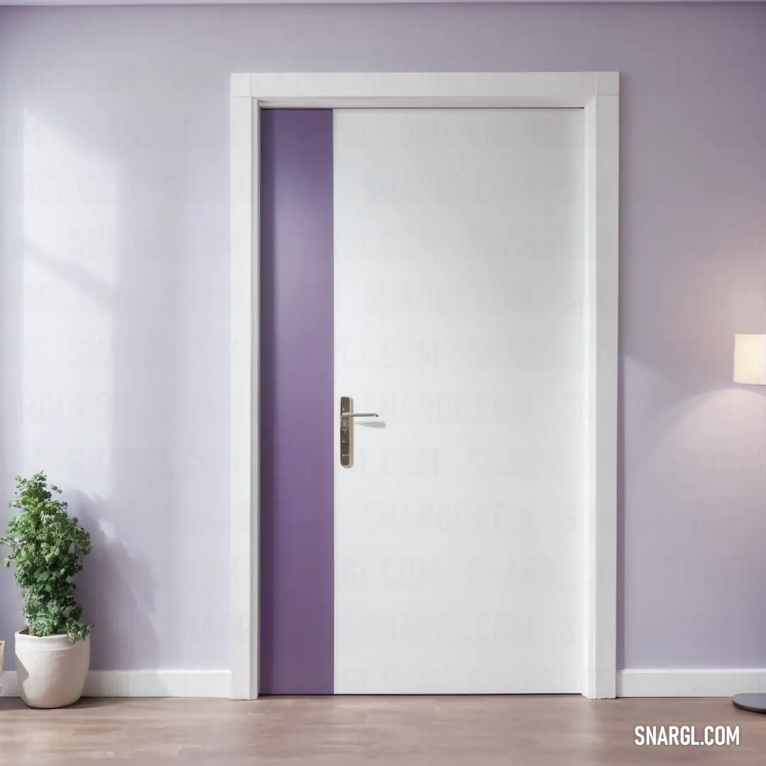 PANTONE 2364 color. Purple and white door in a room with a plant in the corner of the room and a lamp on the side