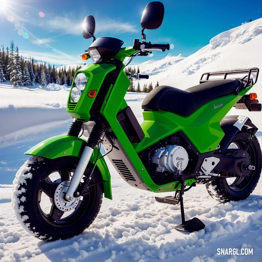 Green motorcycle parked in the snow on a sunny day with trees in the background. Color RGB 47,158,49.
