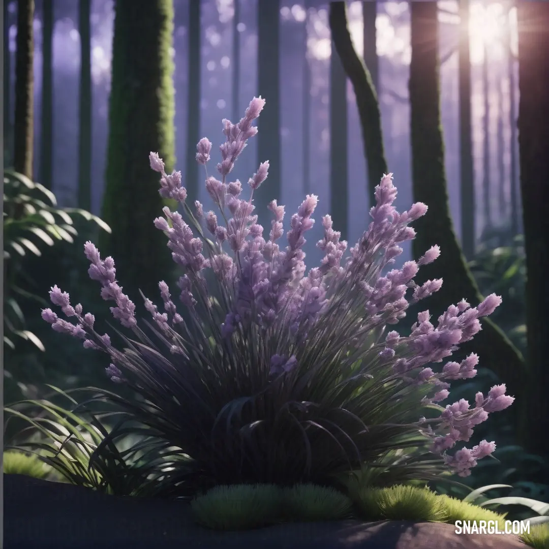 Purple plant in a forest with trees in the background. Color PANTONE 250.