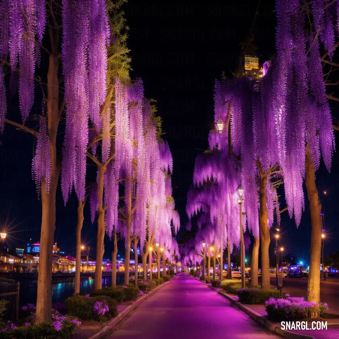 Street lined with purple trees and lights at night time in a city park with a walkway and walkway lights. Example of CMYK 42,91,0,0 color.