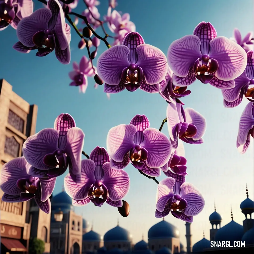 Purple flower is hanging from a tree in front of a building with a blue sky in the background. Color #98579B.