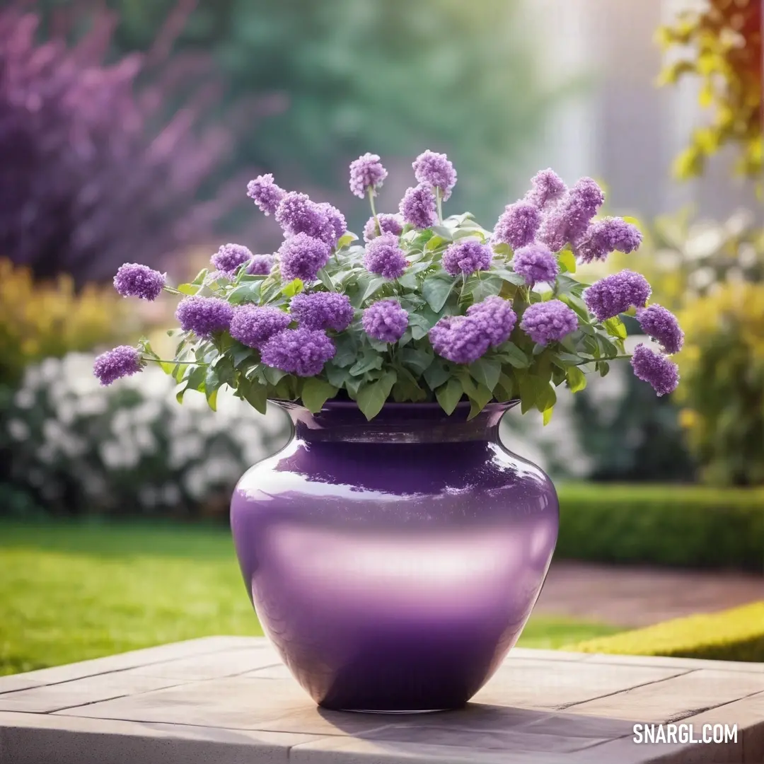 PANTONE 2592 color example: Purple vase with purple flowers in it on a table outside in the sun light