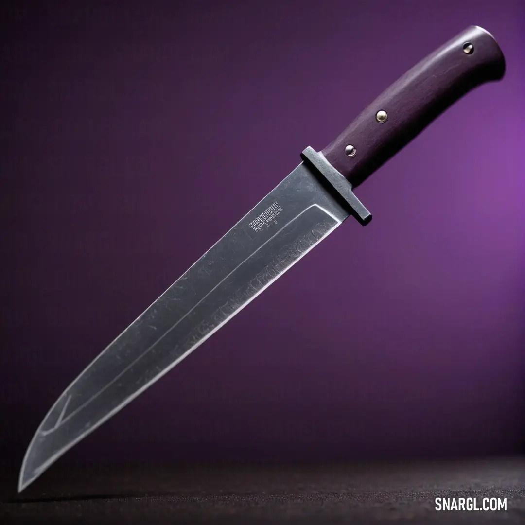 A sleek knife with a sophisticated black handle lies against a rich purple backdrop, embodying elegance and style, perfect for those who appreciate fine kitchenware and bold color contrasts.