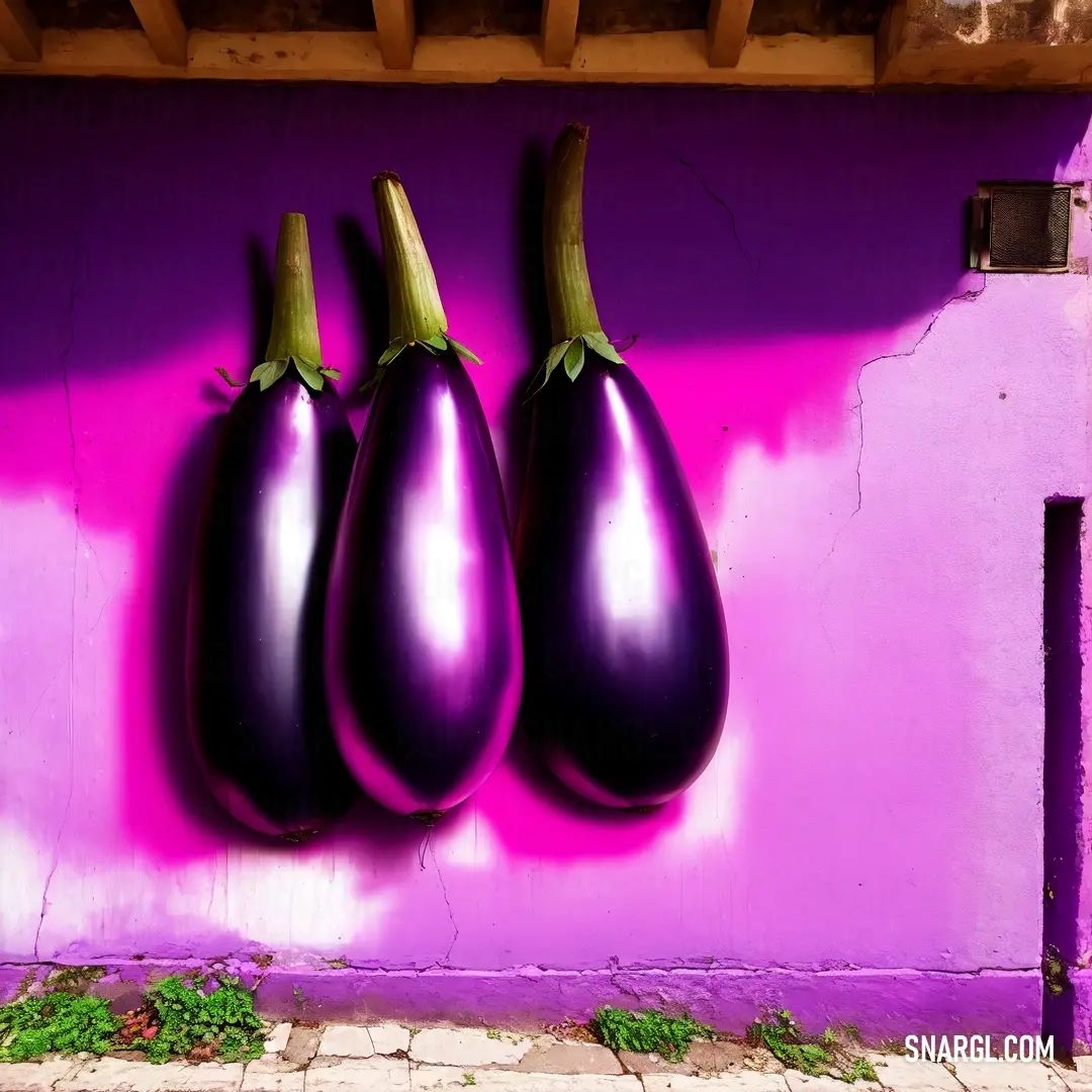 PANTONE 2665 color. Three eggplant hanging on a purple wall with a pink background