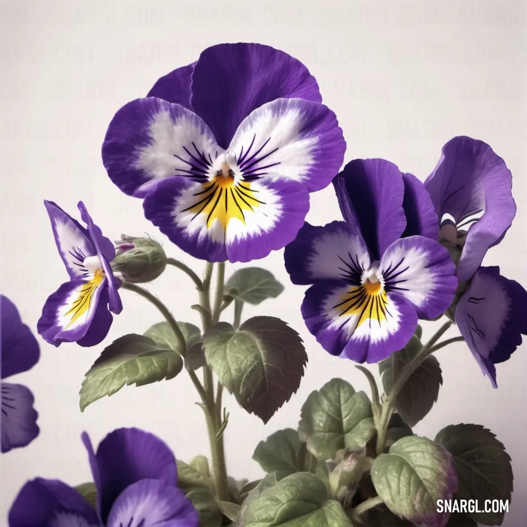 Bunch of purple flowers with green leaves on a white background. Color #312852.