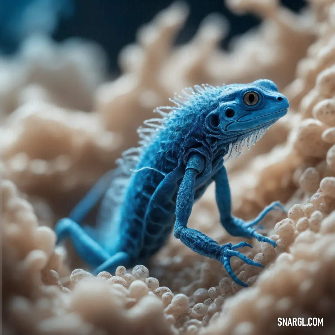 Blue lizard is on a coral in the water and looking at the camera with a blurry background. Color RGB 0,161,170.