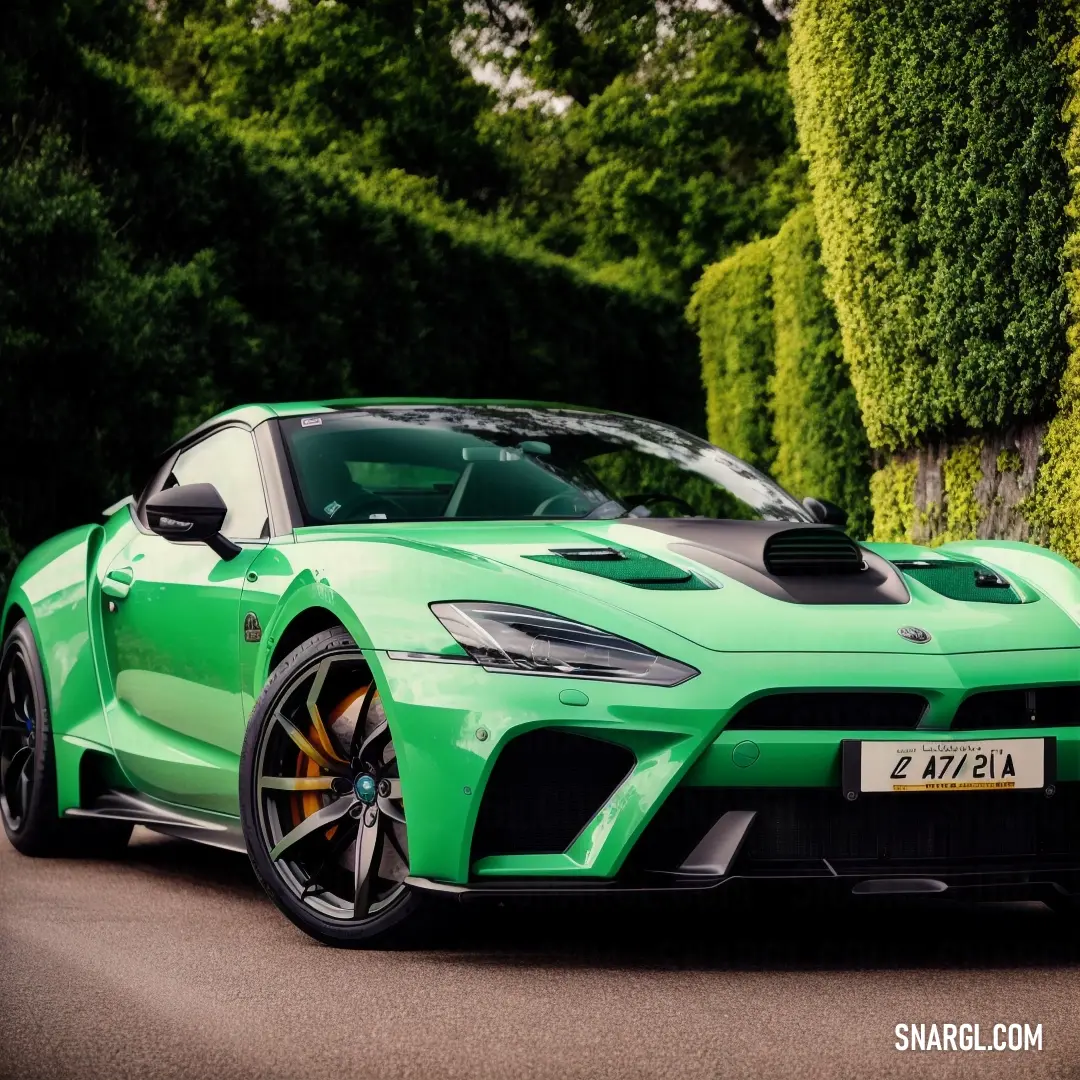 #00A144 color. Green sports car parked on the side of a road next to a hedge lined street with trees and bushes