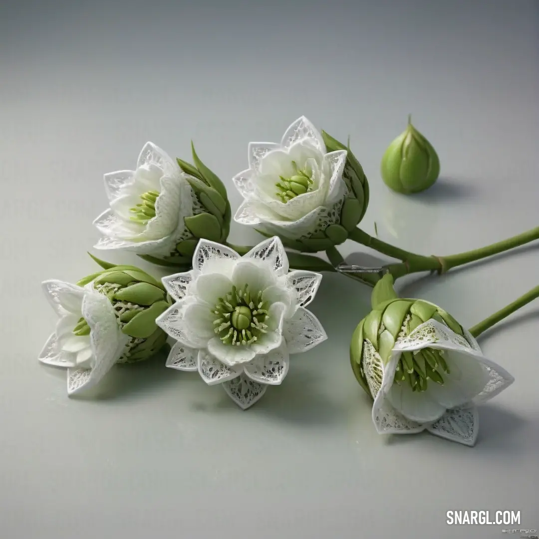 Group of white flowers on top of a table next to each other on a table top with a green stem. Color #B4D4A2.