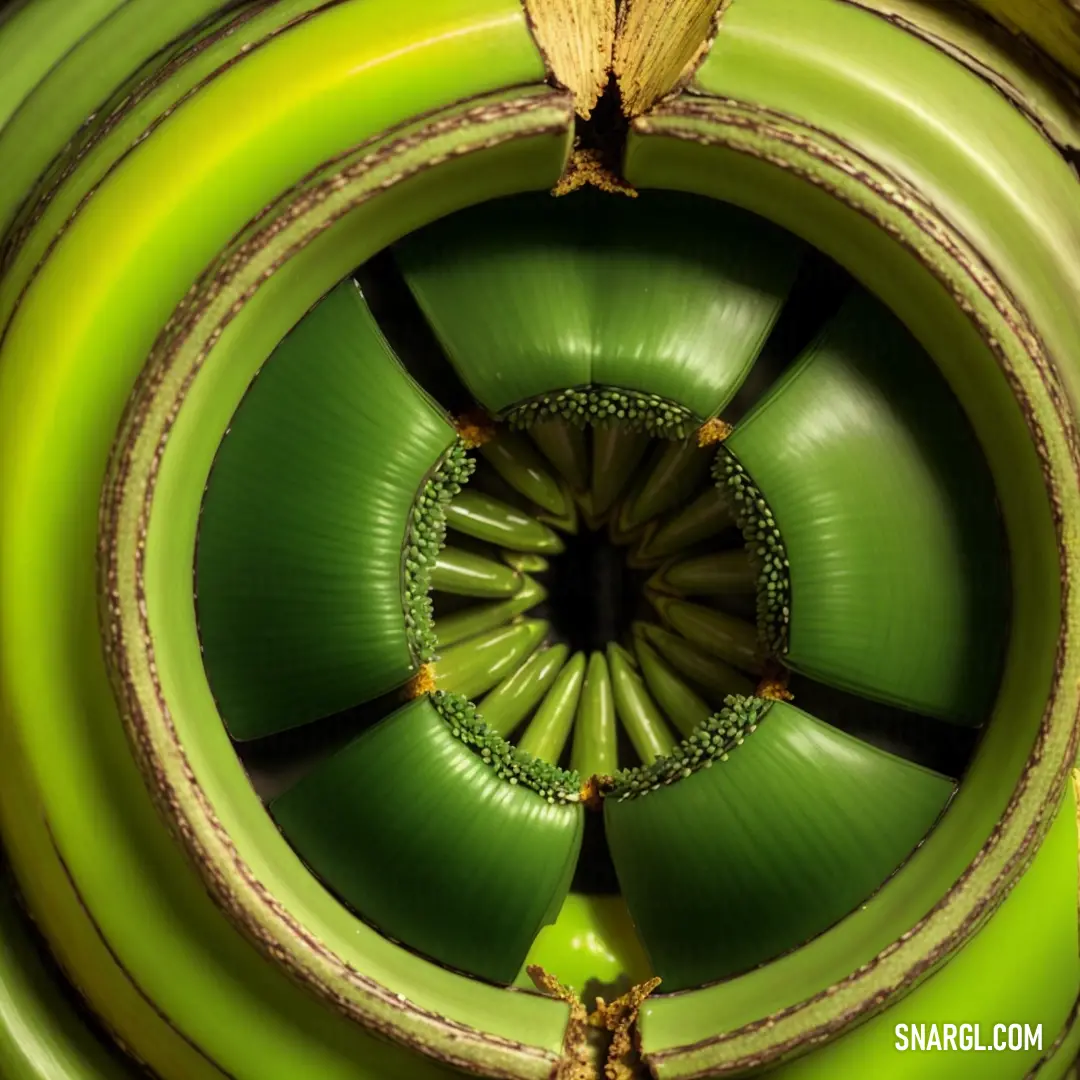 PANTONE 370 color example: Green spiral shaped object with a yellow butterfly on top of it's head and a green background