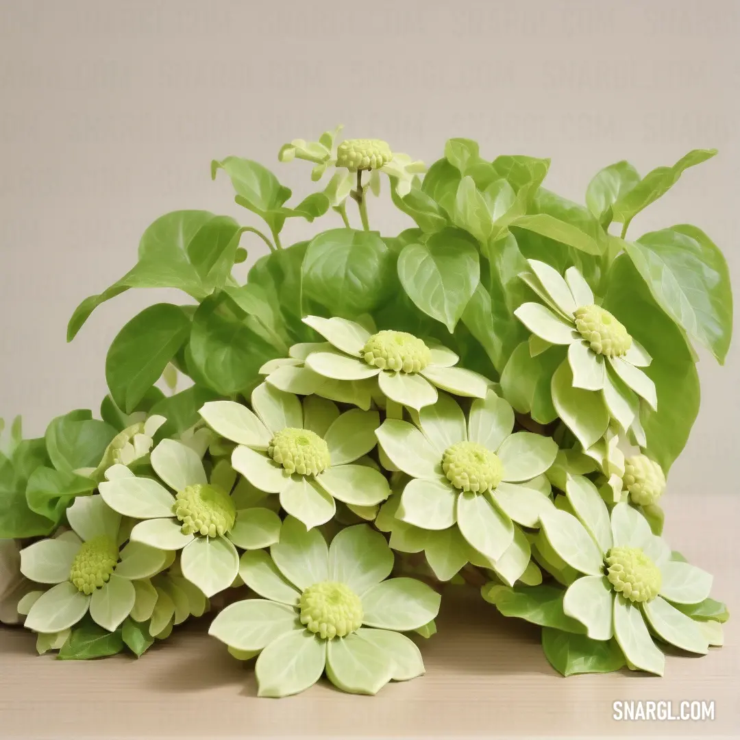 Bunch of green leaves and flowers on a table top with a light brown background. Example of CMYK 16,0,41,0 color.