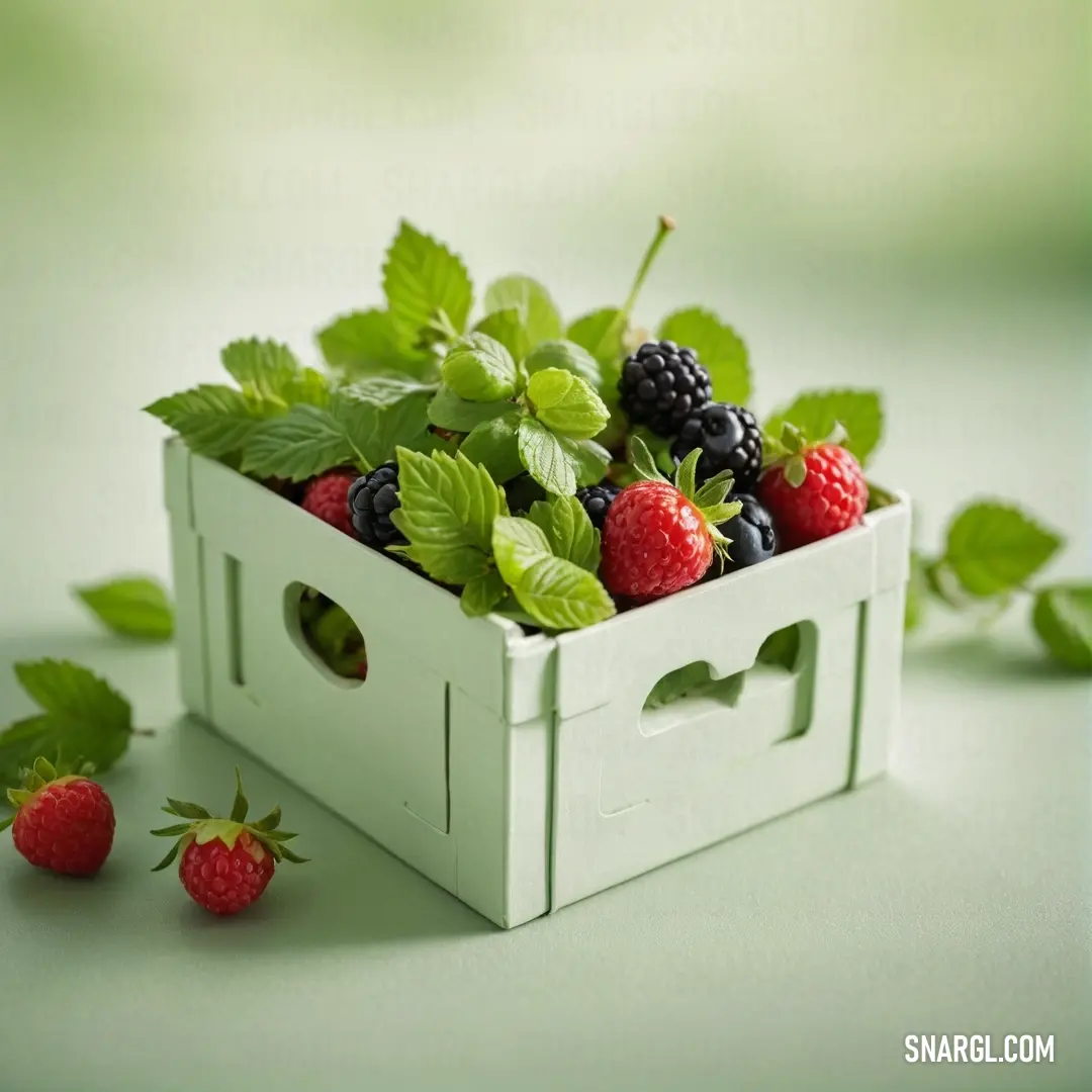 A delightful arrangement of fresh berries and mints beautifully displayed on a table, set against a lush green background, evokes a refreshing essence of nature's bounty and culinary charm.