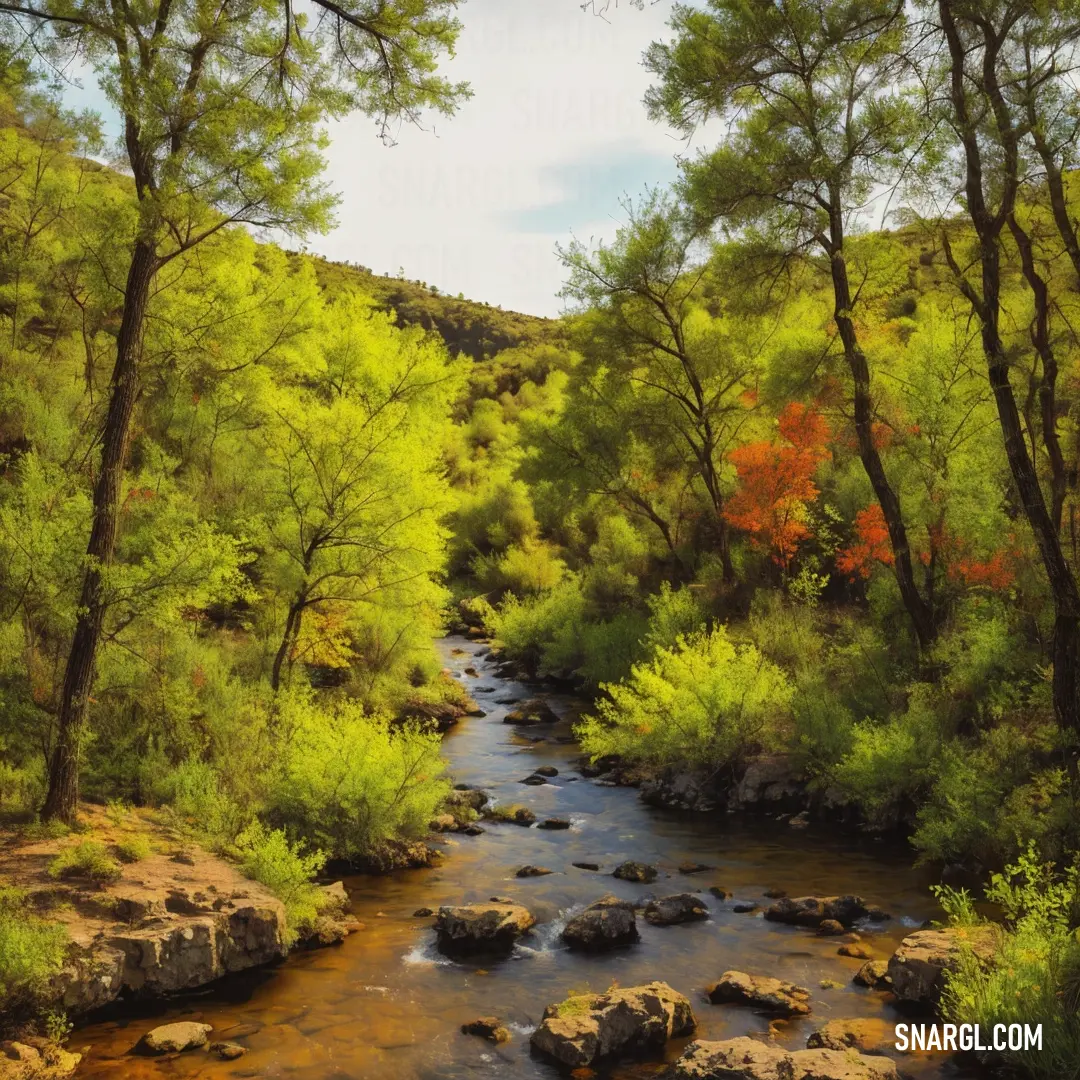Painting of a stream in a forest with rocks and trees around it and a sky background. Color PANTONE 384.