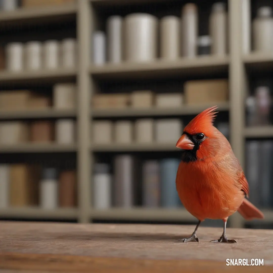 A vibrant red bird with black eyes stands proudly on a table in front of a bookcase filled with books. The CMYK 22,33,28,60 color scheme adds warmth and depth to the lively scene.