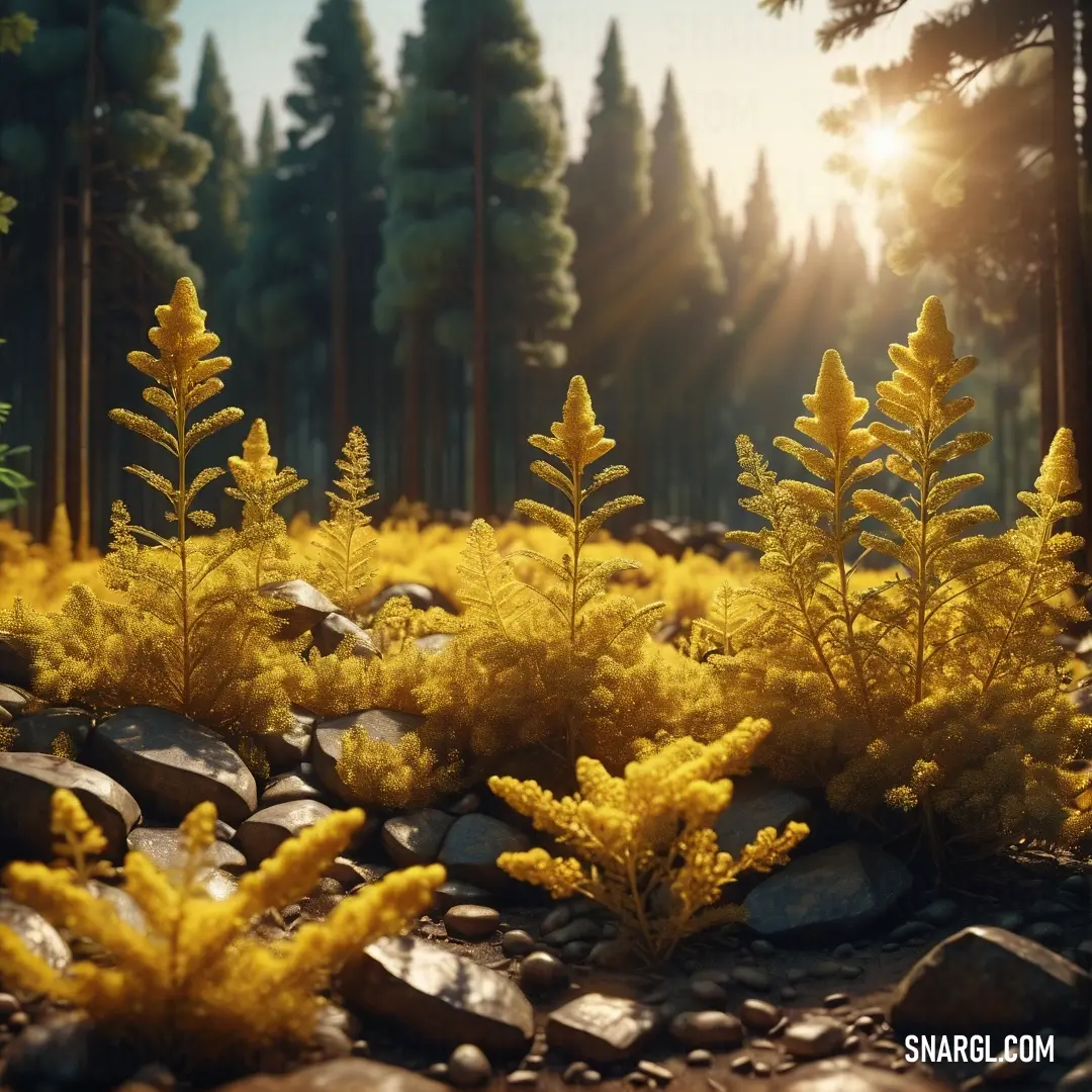 Bunch of yellow plants in a rocky area with trees in the background. Example of PANTONE 4495 color.