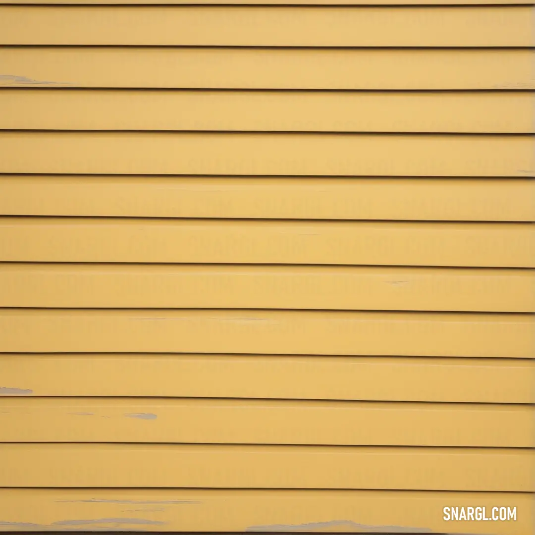 A bright yellow wall serves as a backdrop to a curious black and white cat lounging comfortably on its side. The contrast of PANTONE 458 color adds vibrancy, while the relaxed pose of the cat adds a playful touch.