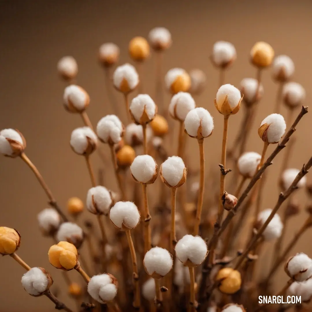 A close-up view of a vibrant cotton plant showcasing fluffy cotton balls nestled among its green leaves. The use of CMYK colors emphasizes the plant's organic beauty, inviting admiration for its delicate details.