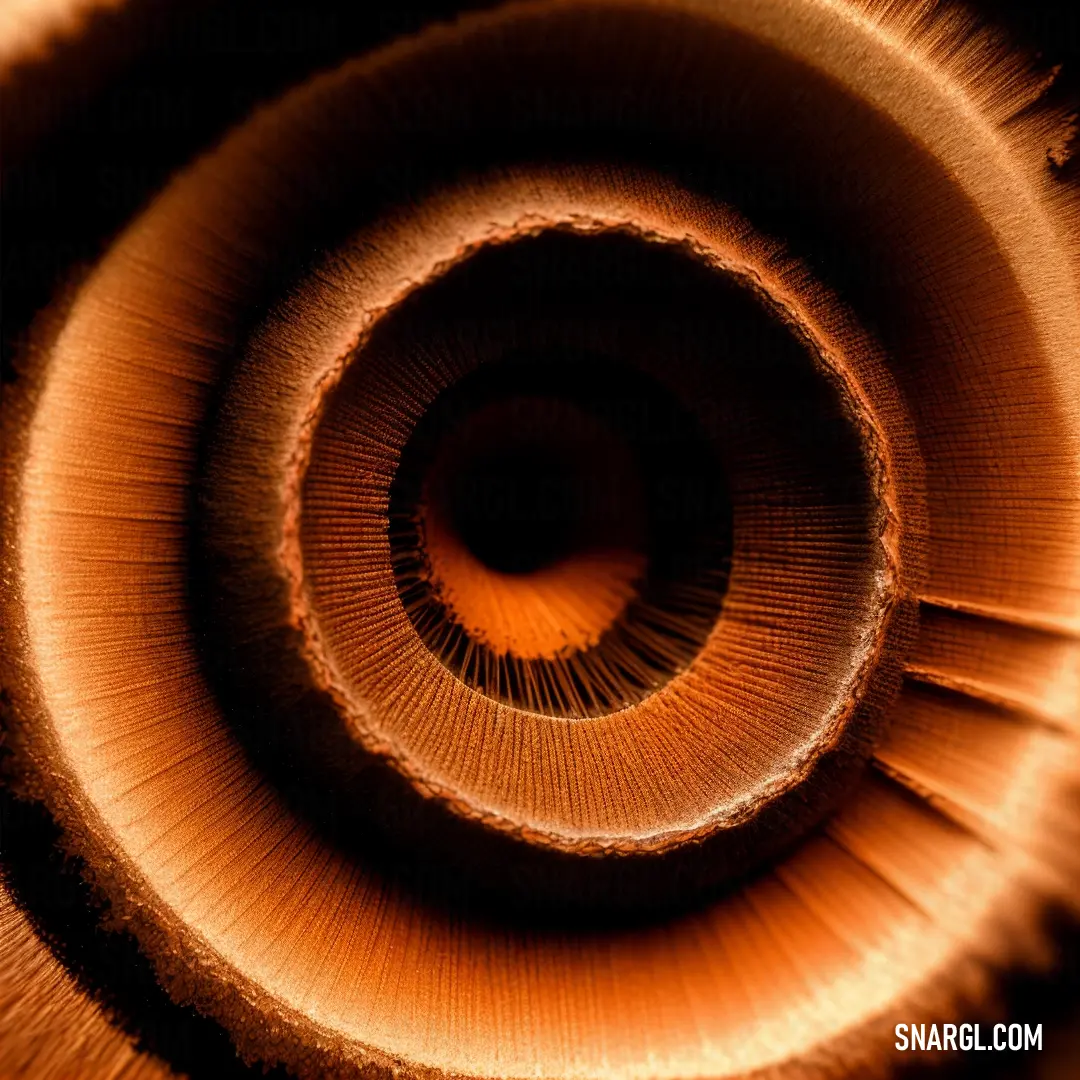 A close-up of a wooden spiral, the warm, rich tones of the wood contrasting with the soft light reflecting off its polished surface. The deep, shadowed background enhances the texture and beauty of the piece.