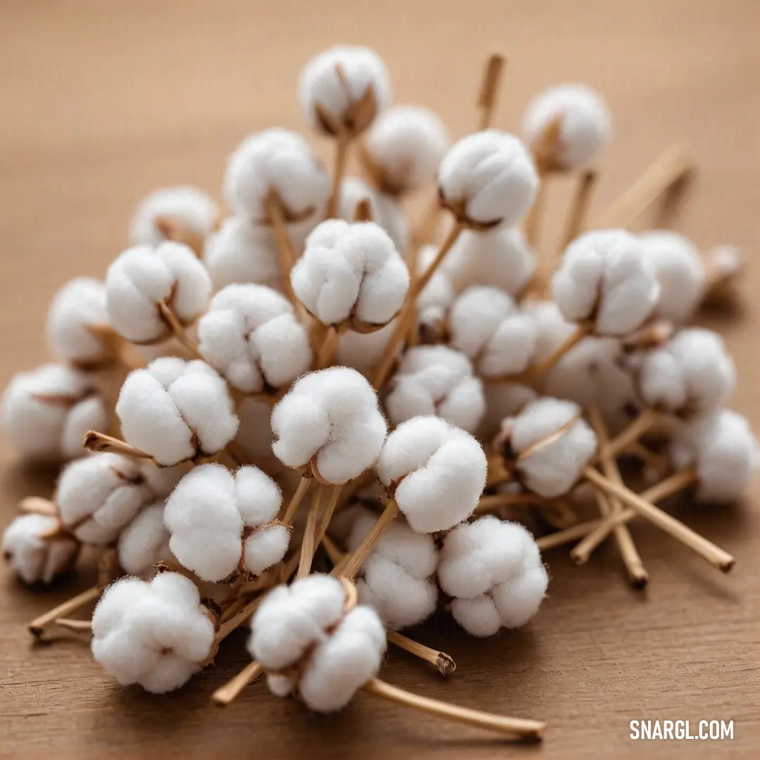 An artistic arrangement of cotton stems gracefully laid out on a table, accompanied by sewing needles, reflecting craftsmanship and the charm of rustic decor. The neutral tones create a cozy, relatable atmosphere.