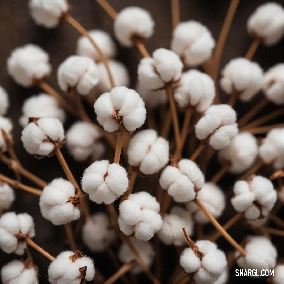 An intricate view of a cotton bunch resting atop a dark tabletop. The striking CMYK color palette emphasizes the detailed textures and soft contours of the cotton, encapsulating a moment of quiet beauty in everyday settings.