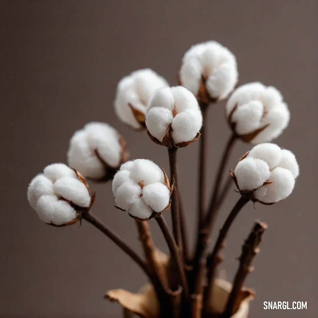 An intimate view of a small vase filled with fluffy cotton flowers, presented on a tabletop featuring warm brown hues. The vintage color scheme accentuates the softness of the cotton, inviting a sense of coziness into the scene.