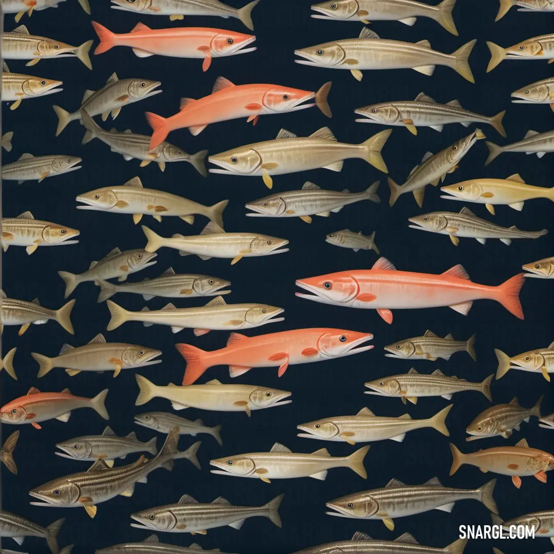 Group of fish swimming in a body of water next to each other on a black background. Example of #D4BF93 color.
