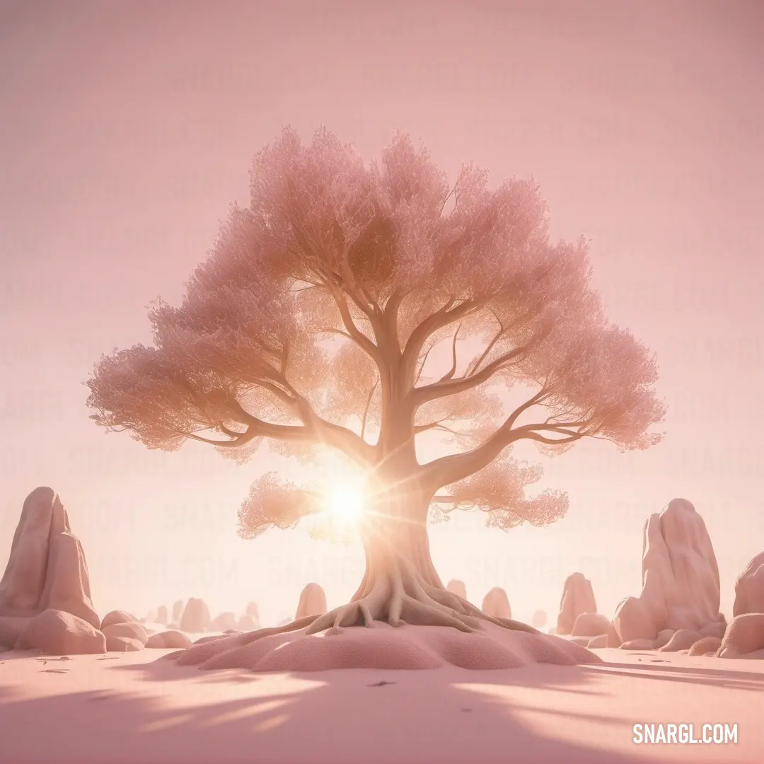 Tree in the middle of a desert with the sun shining through the branches of it's branches. Color CMYK 0,31,26,0.