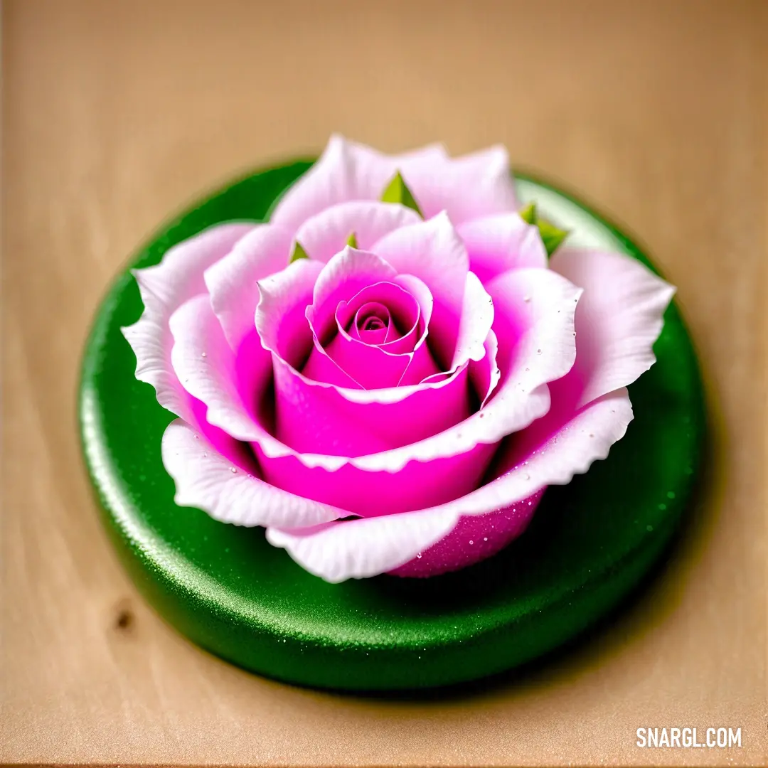 Pink flower on top of a green plate on a table top with a wooden table top in the background. Example of PANTONE 496 color.