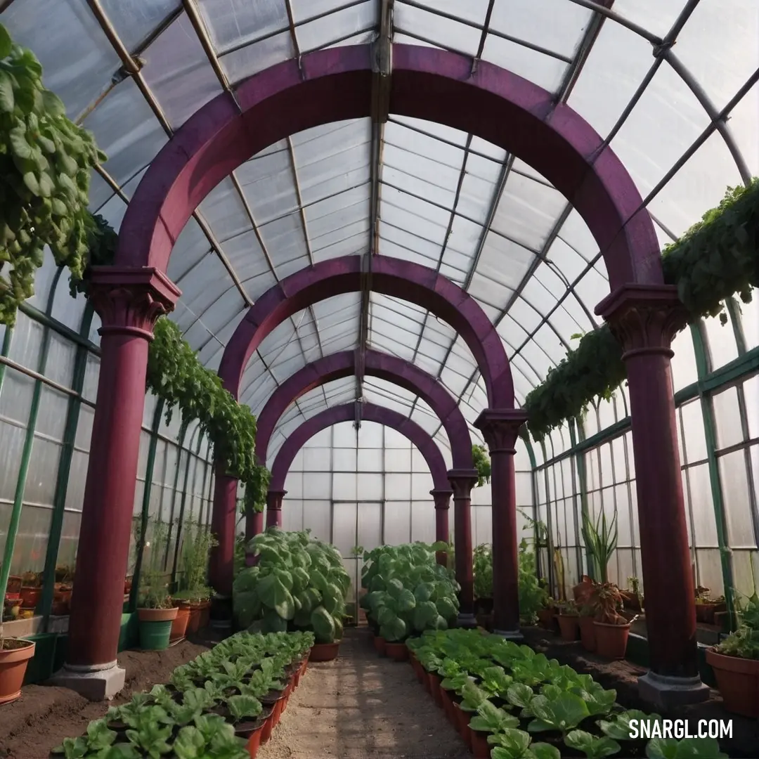 A lush and vibrant greenhouse filled with a wide variety of plants, showcasing a beautiful array of greenery. This serene environment inspires a sense of calm and appreciation for nature's bounty, highlighting the beauty of plant life.