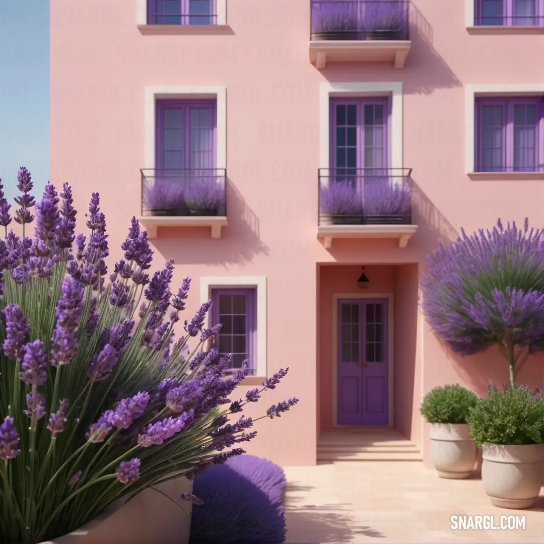 Pink building with purple flowers in front of it and a purple planter in front of it with lavender flowers. Example of PANTONE 527 color.