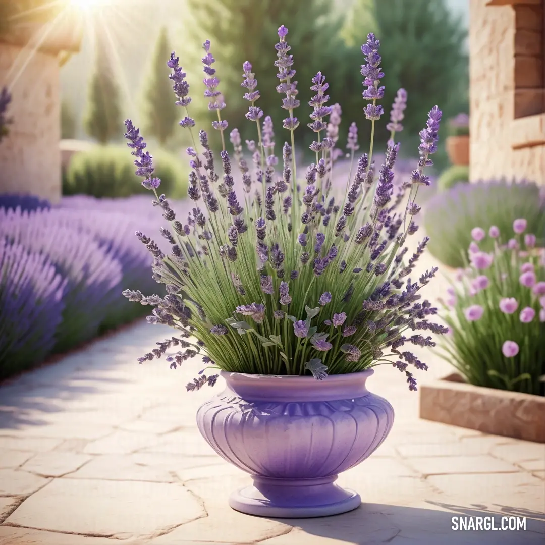 Lavender plant in a vase on a patio with lavender flowers in the background. Color CMYK 26,22,2,9.