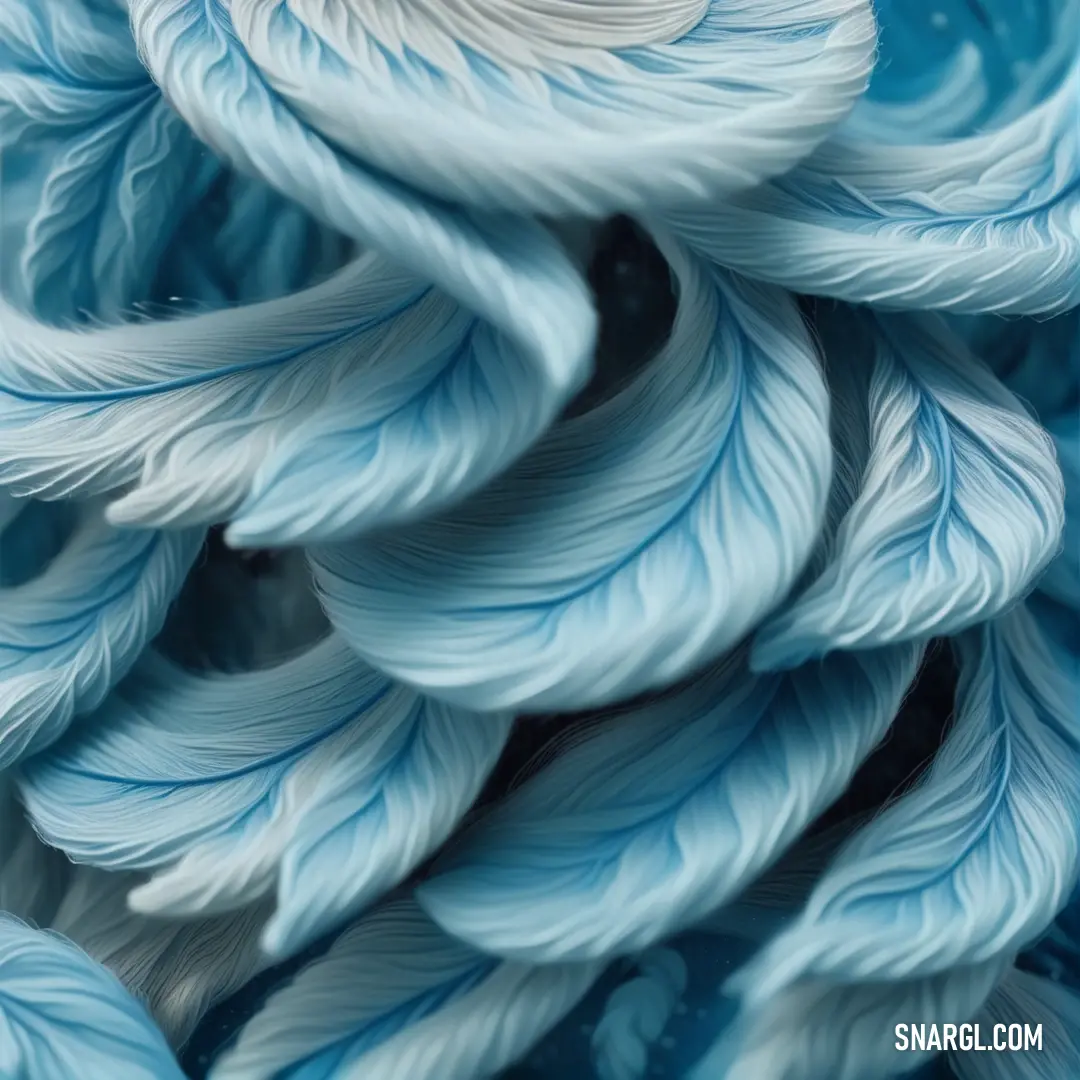 Close up of a bunch of blue and white feathers with water droplets on them and a black background. Color CMYK 37,9,0,1.