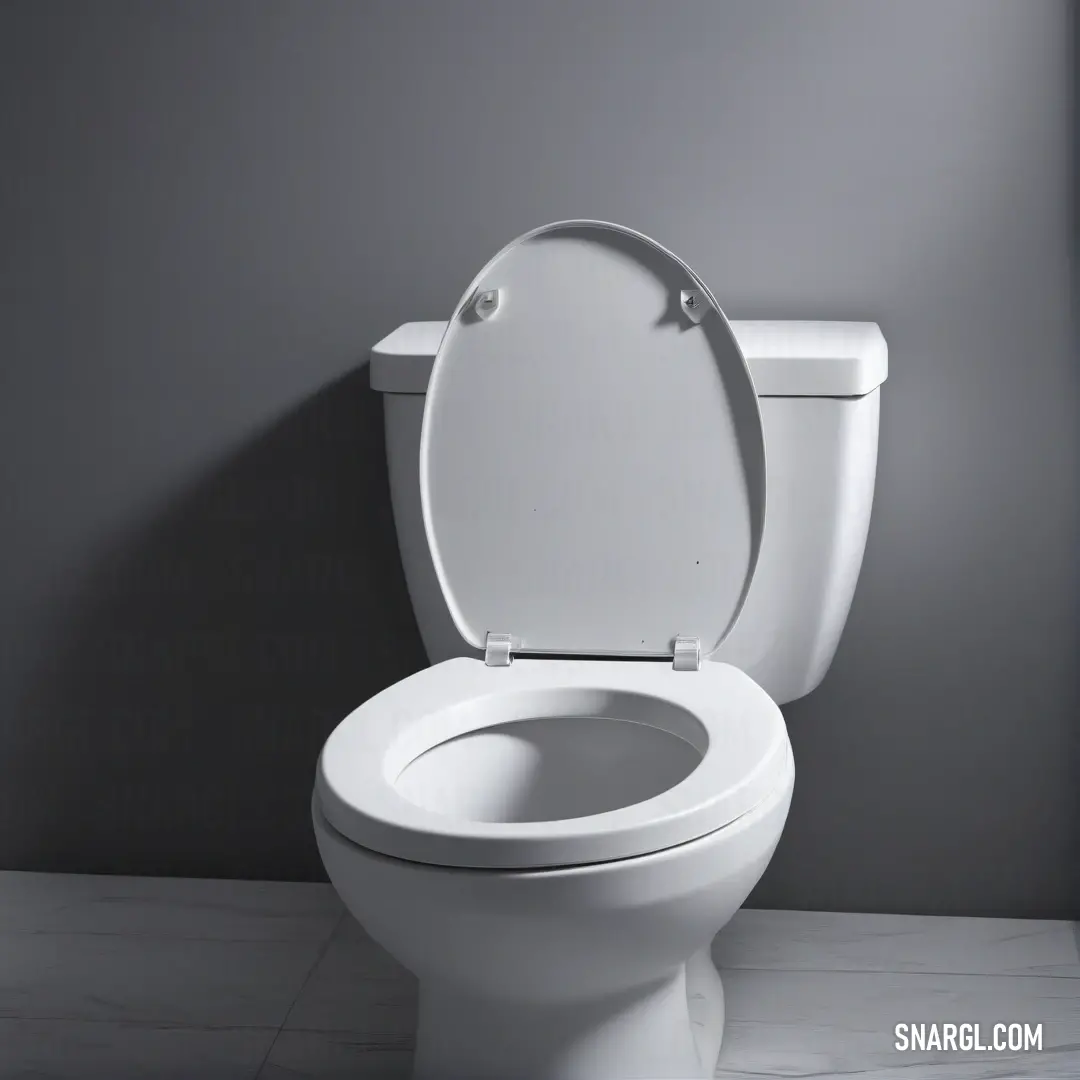 A white toilet positioned against a gray wall, with a clean and crisp appearance, complemented by a white seat. The neutral tones create a fresh and timeless look in a minimalist bathroom setting.