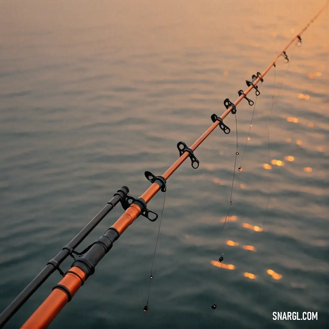 A serene scene shows a line of fishing rods perched gracefully atop calm waters, as a boat glides nearby. Nature's tranquility is accentuated in this peaceful moment, inviting the viewer to unwind and enjoy the outdoors.