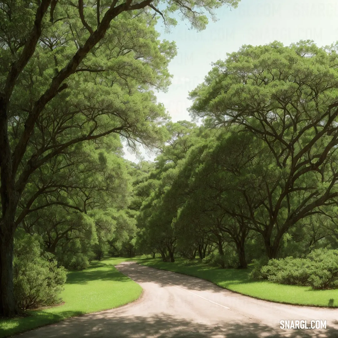 PANTONE 5743 color. Painting of a road surrounded by trees and grass with a white car driving down the road in the distance
