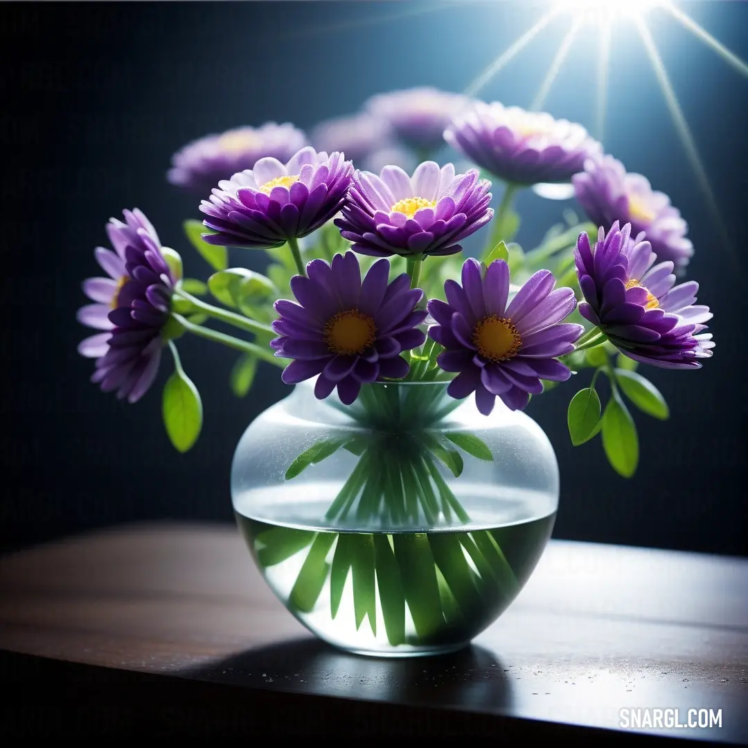 Vase filled with purple flowers on top of a table next to a window sill with the sun shining. Color CMYK 55,9,95,45.