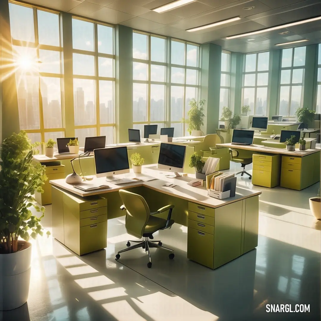 CMYK 25,19,100,70 example: Large open office with a lot of desks and chairs in it and a plant in the middle