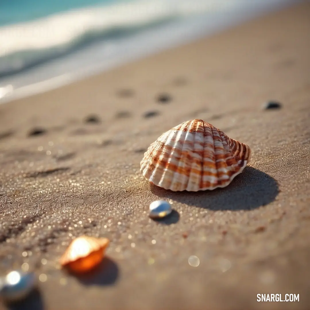 A captivating shell resting on the beach, its intricate patterns glistening as waves kiss the shore. A solitary figure strolls in the background, completing this picturesque scene that embodies the spirit of coastal life and the soothing hue of PANTONE 60