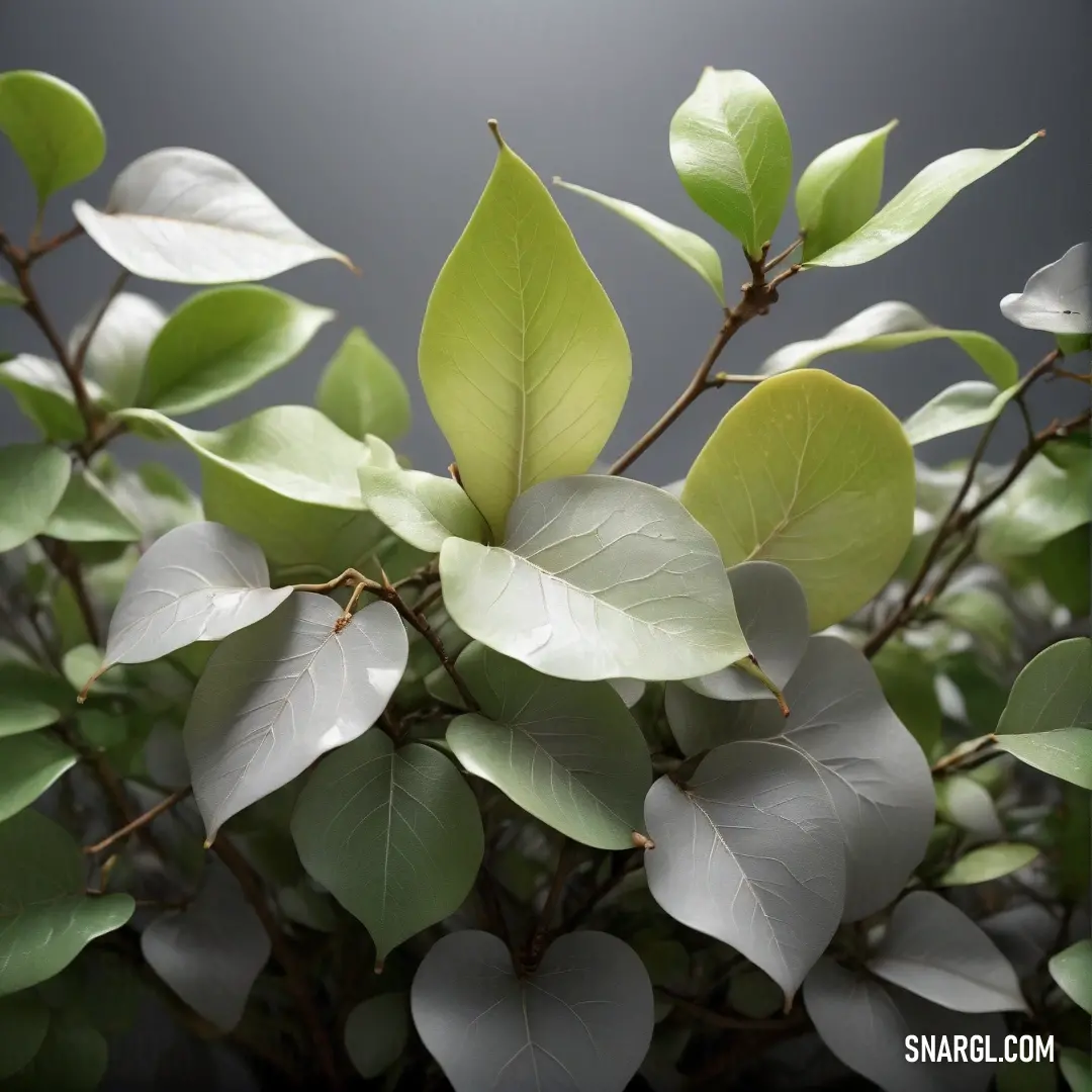 A plant with fresh green leaves stands out against a gray background, bringing a touch of nature's tranquility to the otherwise neutral setting. The contrast highlights the simplicity and elegance of the plant’s form.