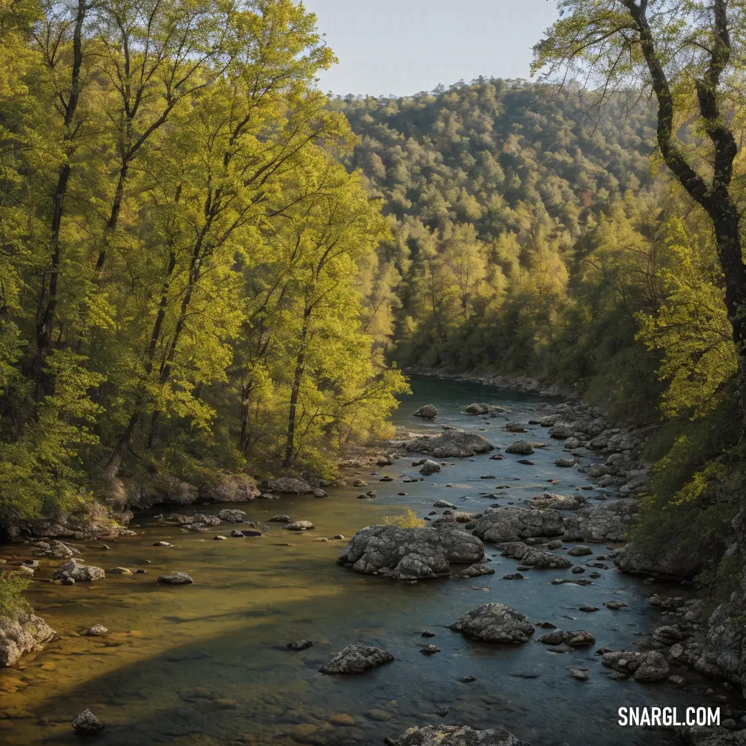 River running through a lush green forest filled with trees and rocks. Color CMYK 17,14,93,38.