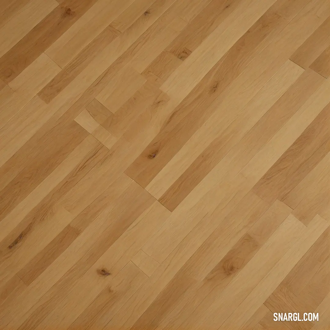 A cozy wooden floor with the striking contrast of a playful black and white cat standing on its back paws, gazing around curiously. Its sleek fur contrasts with the natural wood tones, adding a touch of charm to the serene environment.