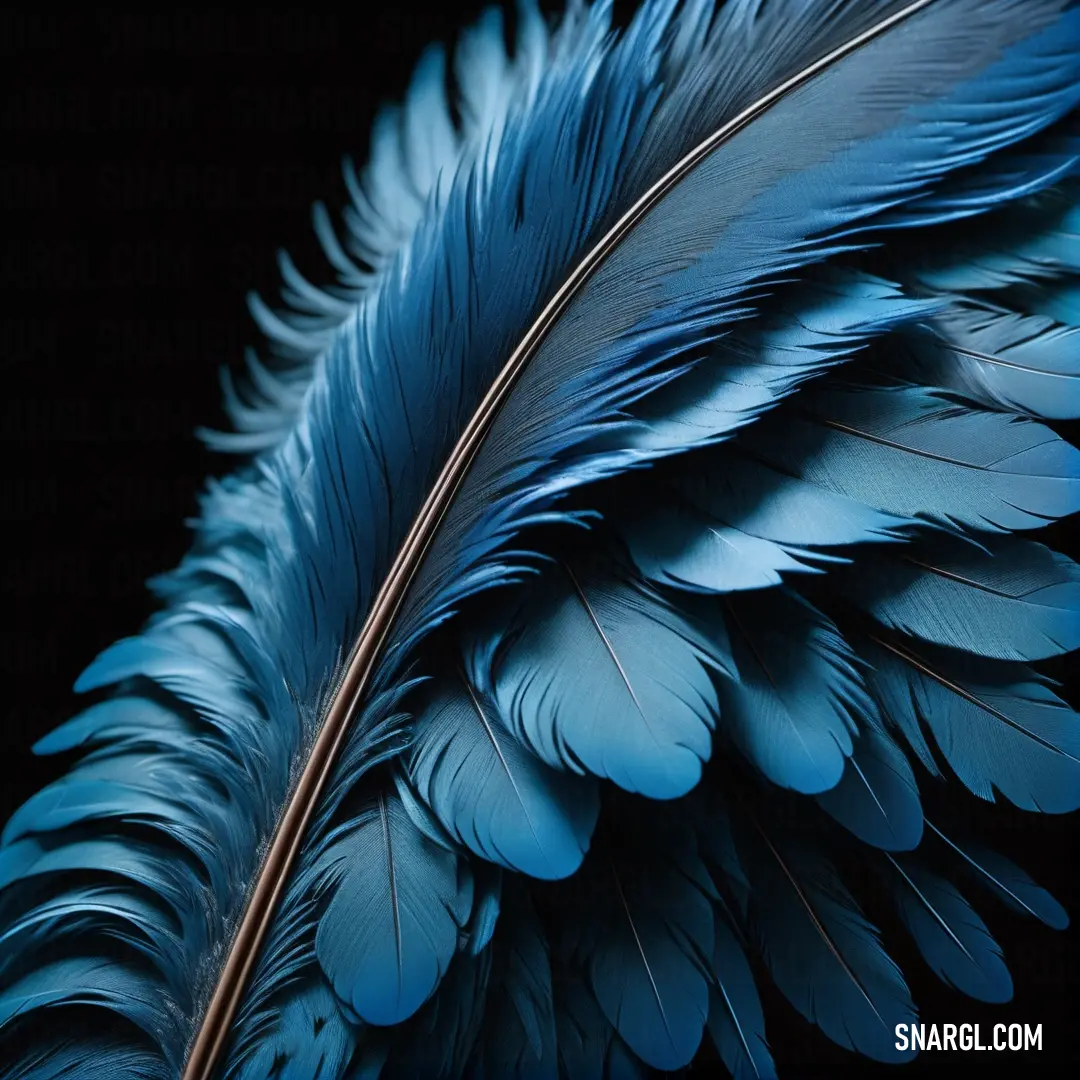 PANTONE 646 color. Close up of a blue feather on a black background