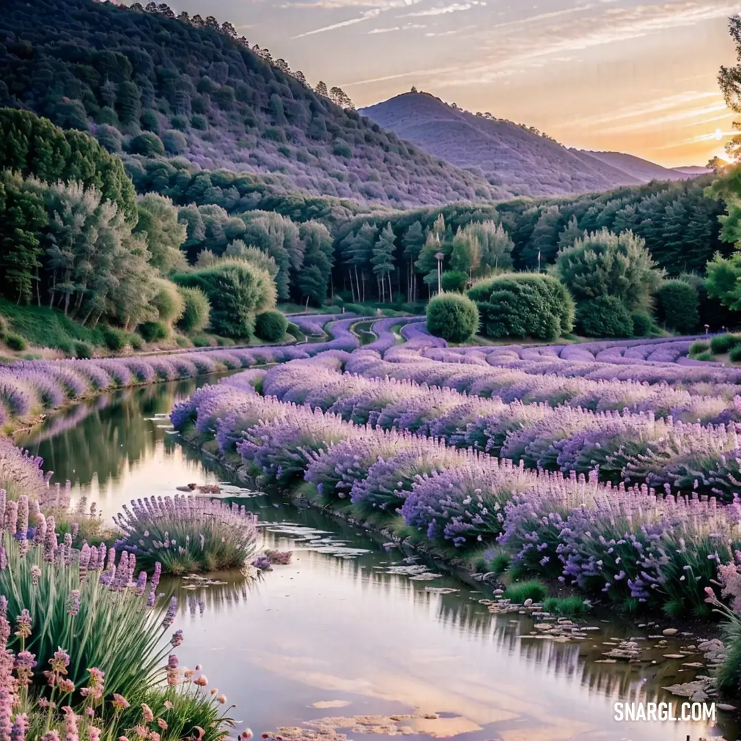 River surrounded by purple flowers and trees in the background. Example of PANTONE 7437 color.
