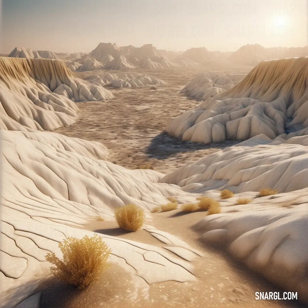 Desert landscape with a few plants and rocks in the background. Example of #B29E69 color.