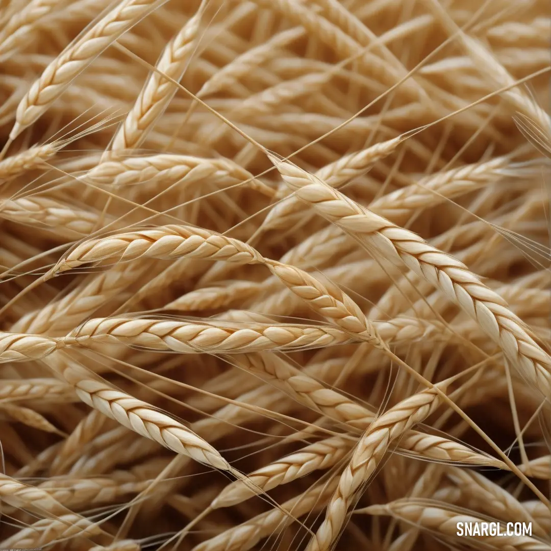 A stunning close-up of golden wheat stalks swaying gently in a serene field, set against a beautifully blurred backdrop that enhances the depth of the scene. This captivating image showcases the warm hues indicative of CMYK 9,83,100,46 color values.