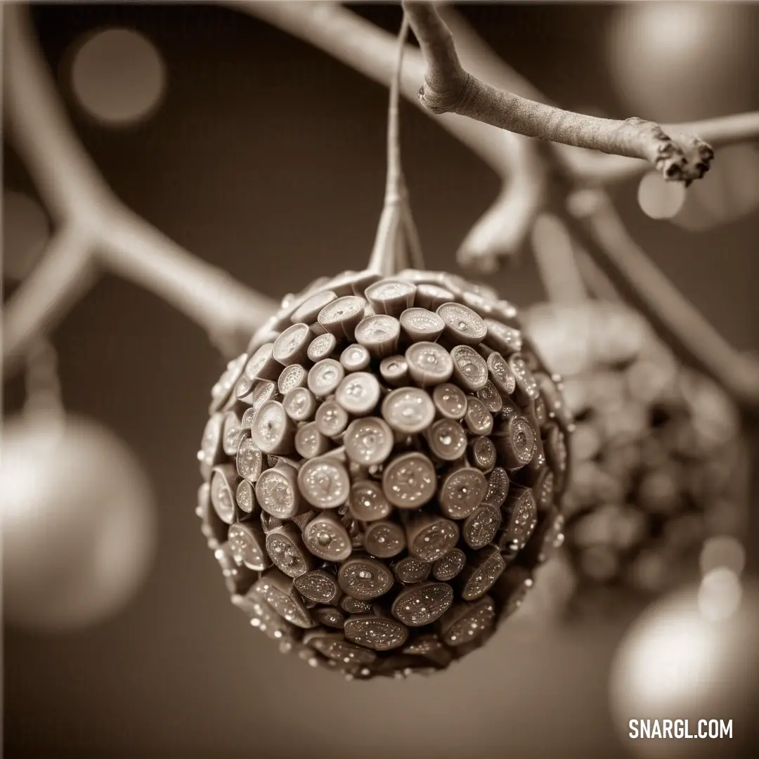 Close up of a tree with a bunch of balls hanging from it's branches and a blurry background. Example of RGB 216,211,191 color.