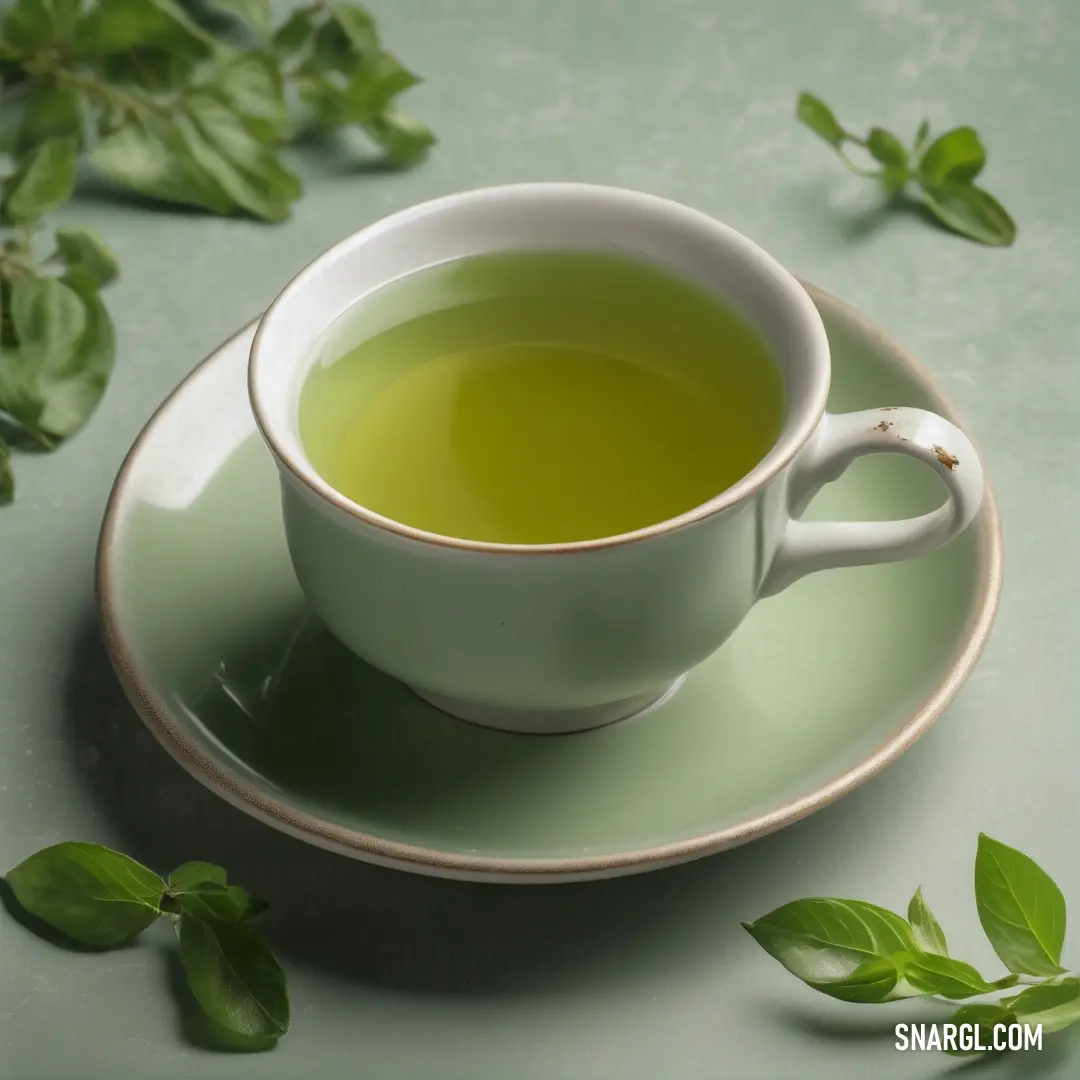 PANTONE 7537 color. Cup of green tea with leaves around it on a saucer on a green tablecloth