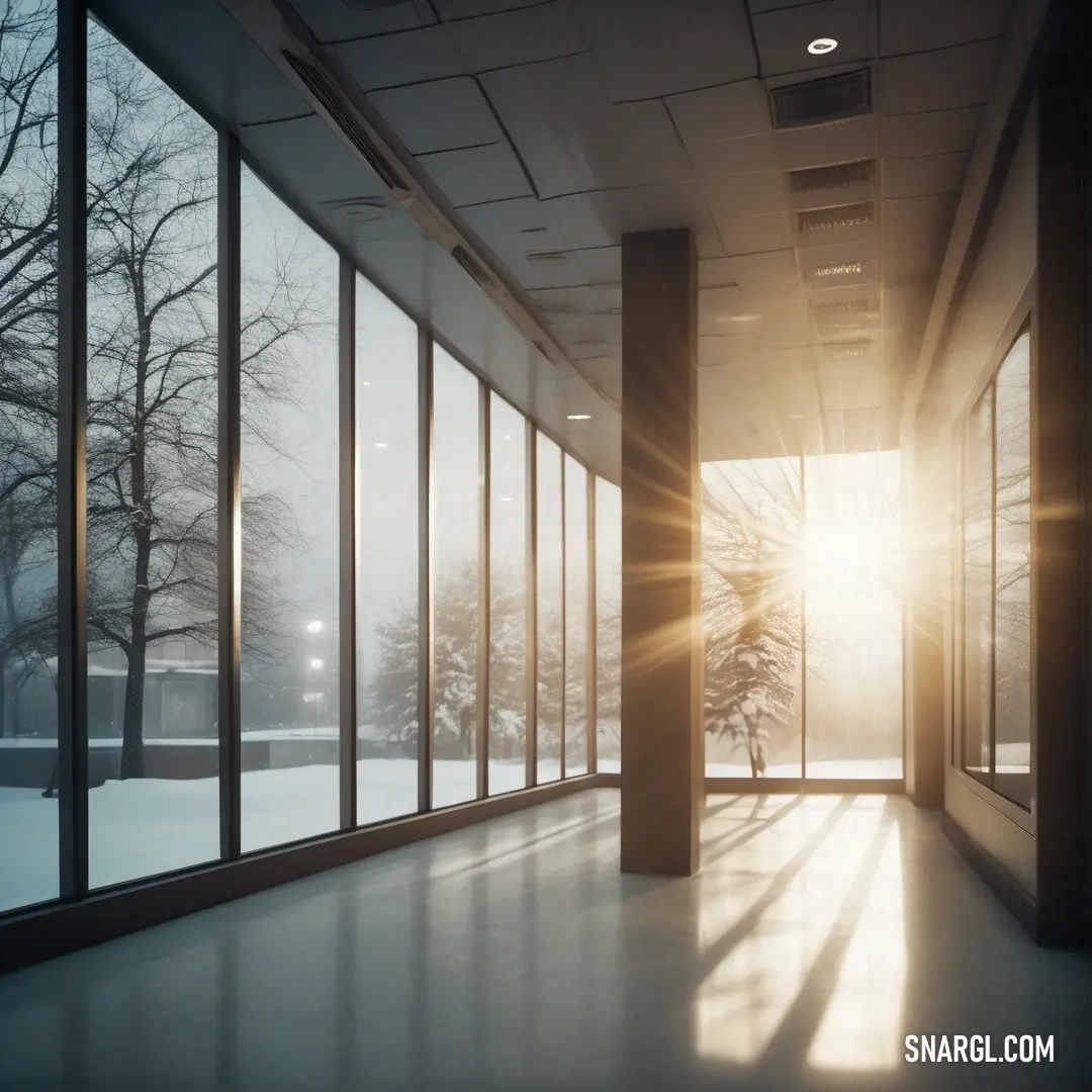 Room with a large window and a view of a snowy field outside of it with the sun shining through the windows. Color #929790.