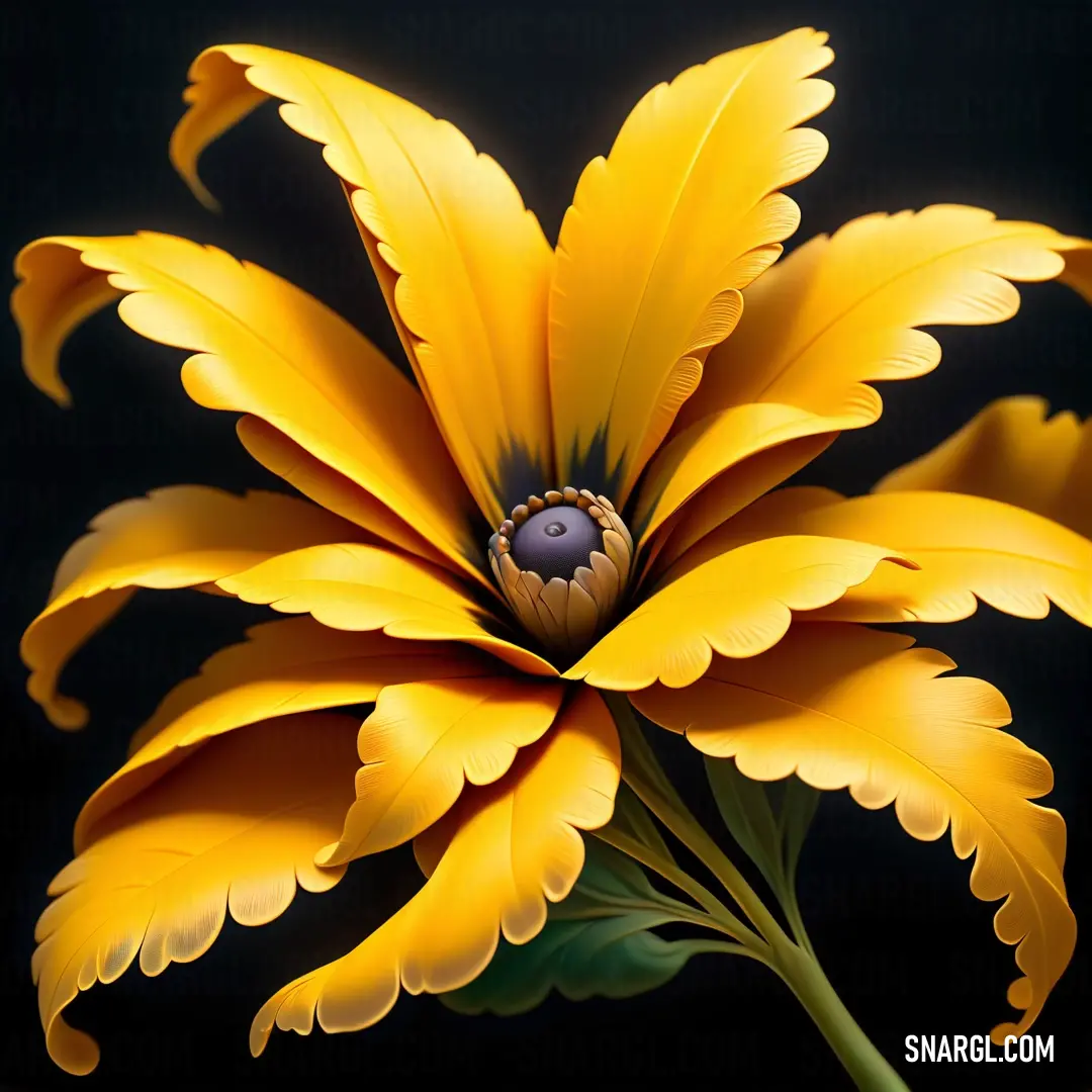 Yellow flower with a black background. Color CMYK 0,12,98,0.