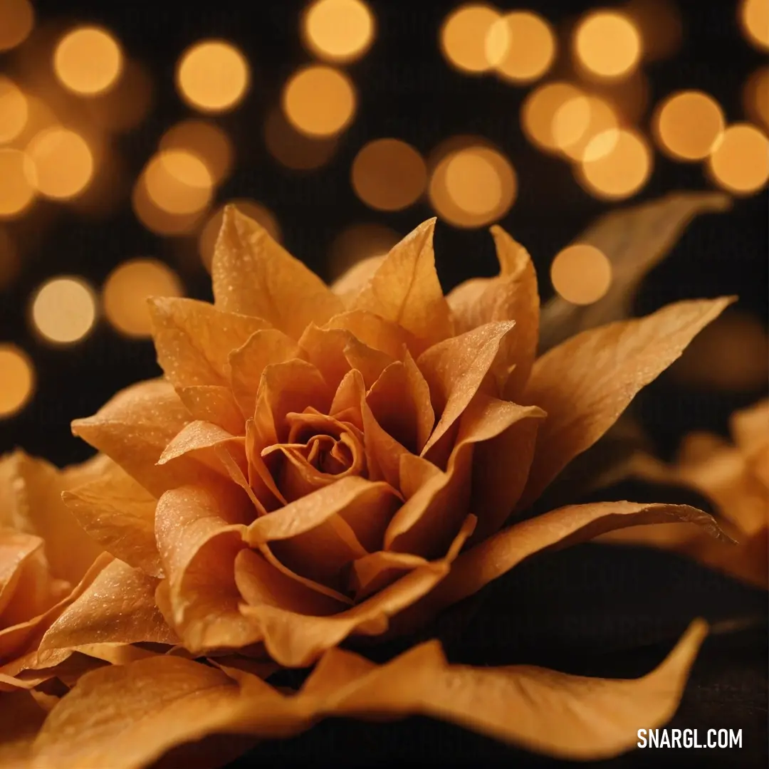 A stunning close-up of a flower blossoms in exquisite detail, set against a soft, blurry background that captures the essence of nature's beauty, highlighted by the warm tones of the PANTONE 7550 color.