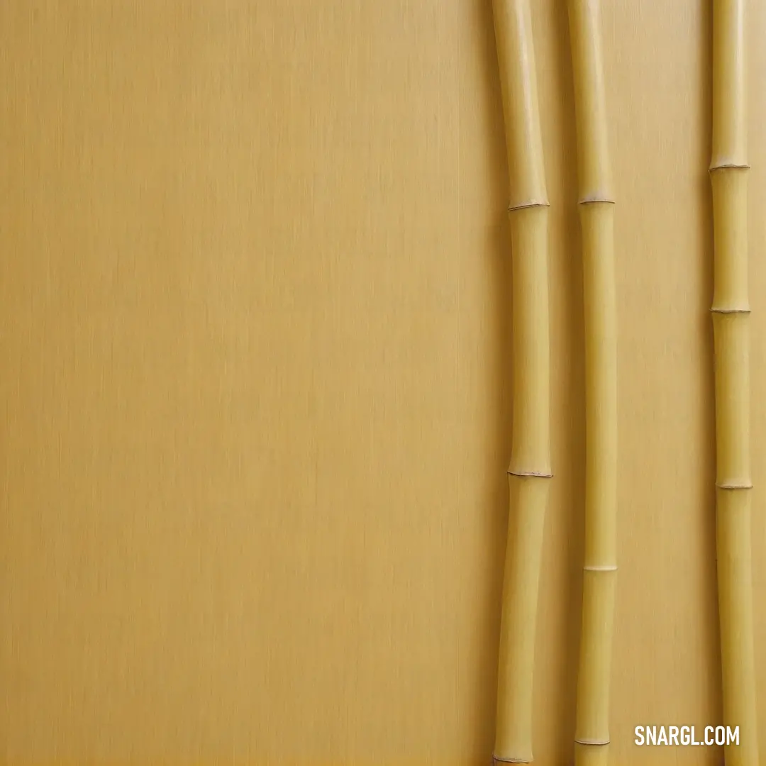 An up-close look at two beautiful yellow bamboo sticks resting on a polished table. The natural grain and vibrant hue create a lovely contrast, highlighting the simplicity and elegance of organic forms in a modern setting.